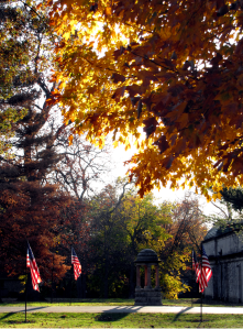 0-037 Sugar Maple Fall