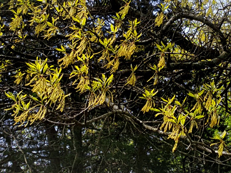 0-065-Q_xleana-2-edited_GP